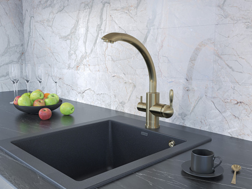 Смеситель для кухни Paulmark ESSEN Es213001-BR на мойку бронза - фото 2